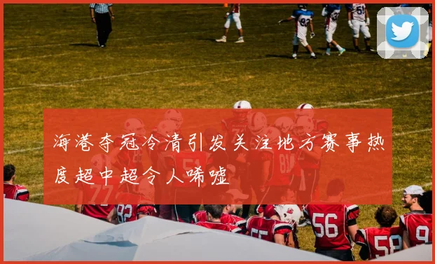 海港夺冠冷清引发关注地方赛事热度超中超令人唏嘘