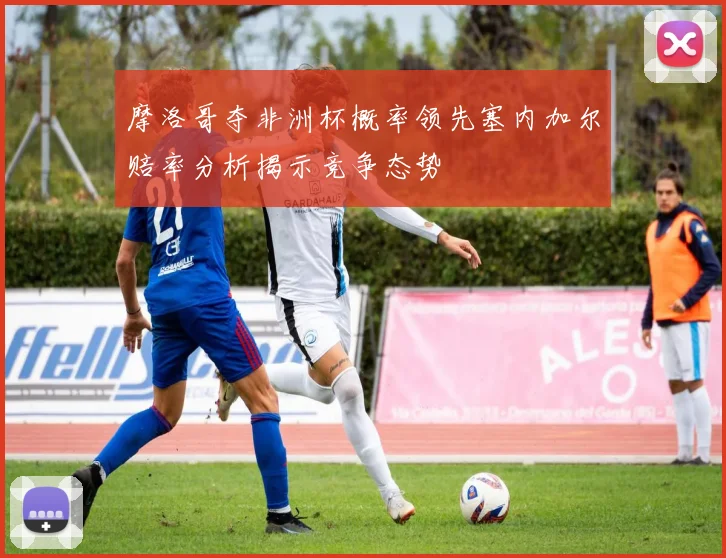 摩洛哥夺非洲杯概率领先塞内加尔赔率分析揭示竞争态势